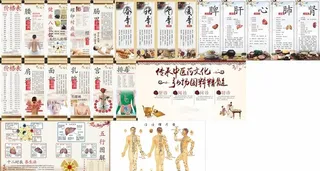 中医理疗馆套图价格宣传制度一套图片