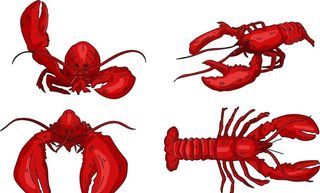 卡通龙虾图片