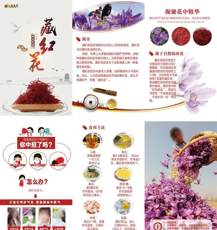 藏红花折页图片ai矢量模版下载