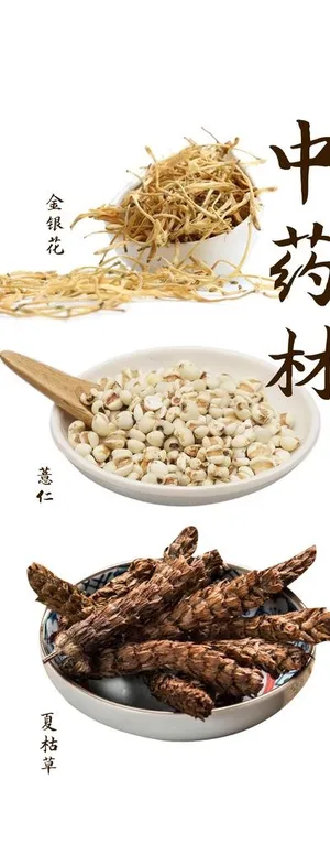 中药材图片