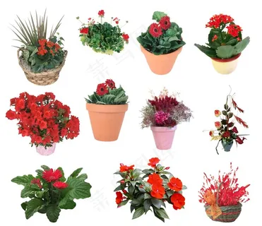 花盆图片 花盆图片