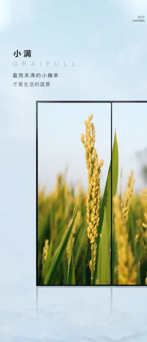 小满海报图片