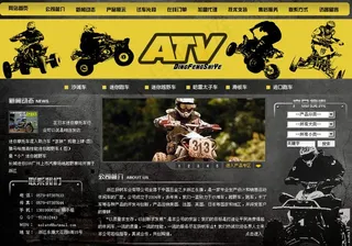 沙滩车 赛车图片