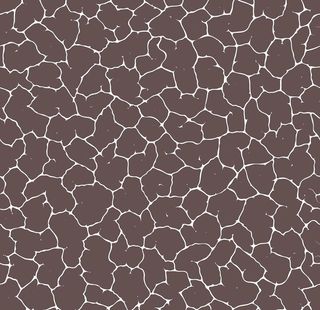 肌理裂纹花纹图片