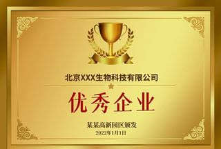 铜牌  钛金牌 图片