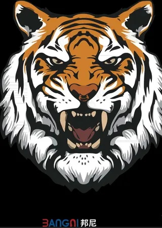 虎头  邦尼图片