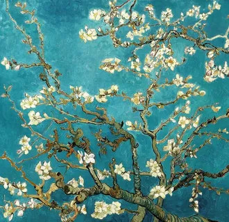 杏花 梵高 图片 杏花 梵高 图片