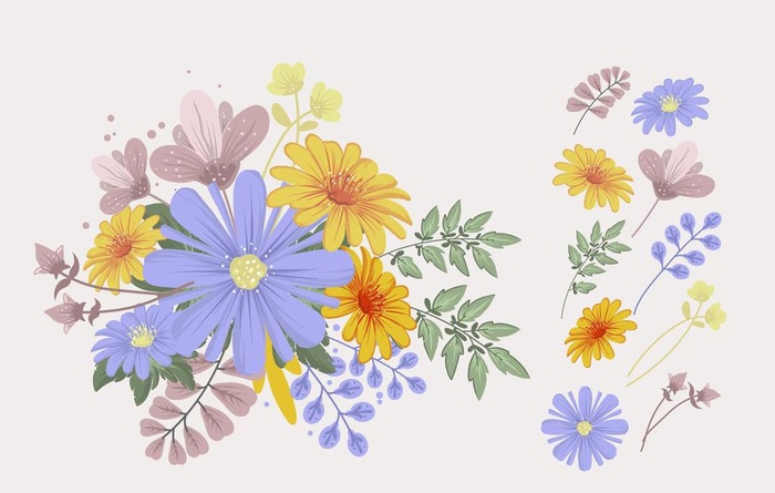 各种花朵手绘图片