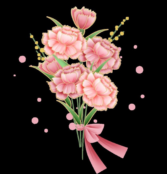母亲节一束粉色康乃馨图片