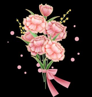 母亲节一束粉色康乃馨图片