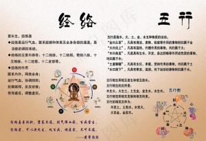 经络五行图片