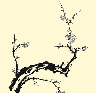 梅花图片