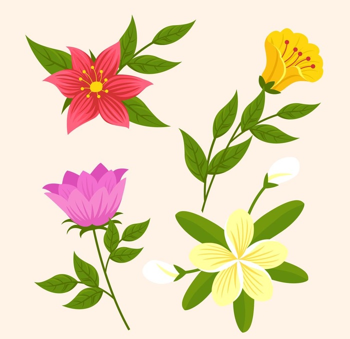 各种花朵手绘图片ai矢量模版下载