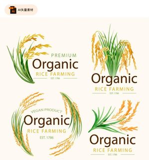 水稻矢量插画素材图片