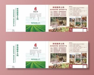 土鸡蛋宣传单图片