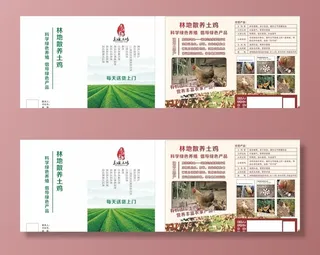 土鸡蛋宣传单图片