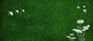 绿草皮图片