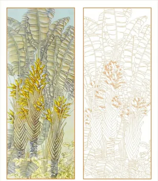 旅人蕉装饰画图片