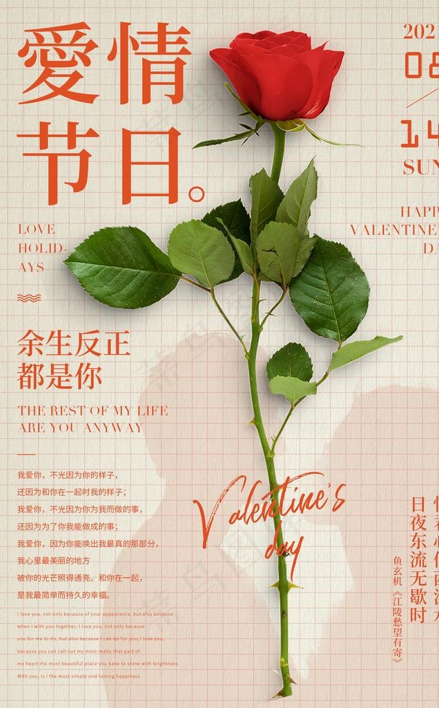 玫瑰图片(1500x2300)psd模版下载