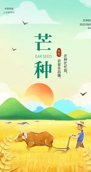 芒种节气海报图片