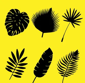 热带树叶剪影图片