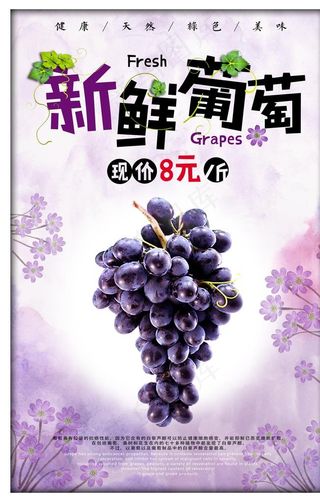 葡萄海报图片