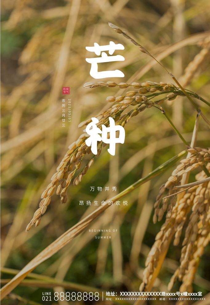 芒种图片(3543x5315)psd模版下载