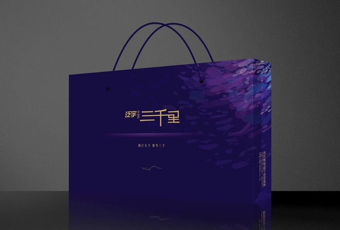 全套VI 集团VI 手提袋紫色图片(3500x2400)psd模版下载