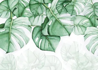 绿植叶子背景墙图片