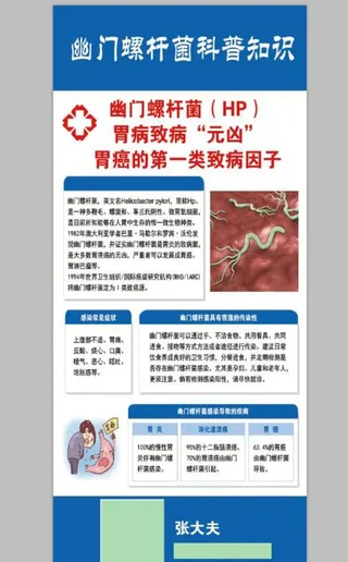 幽门螺拼合展架图片