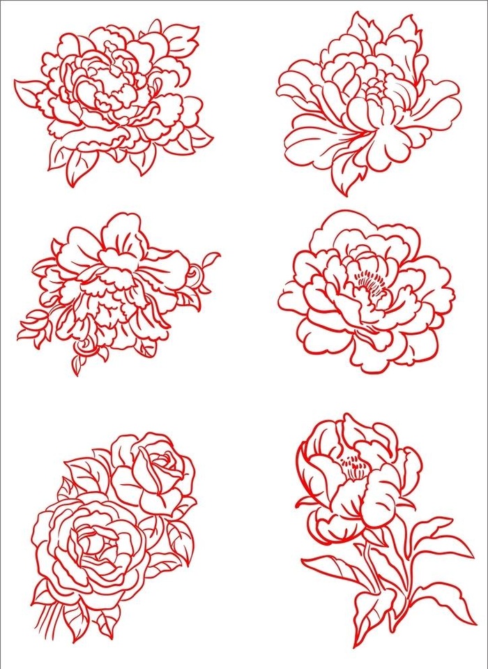 牡丹花手绘矢量图图片