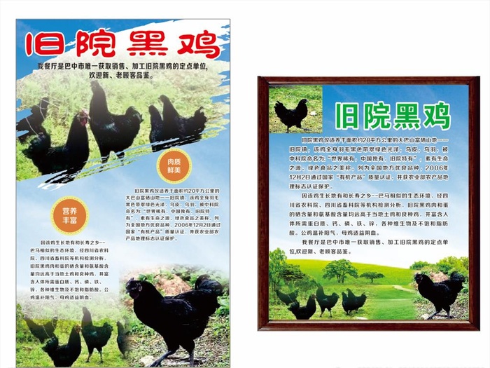 黑鸡 乌鸡图片cdr矢量模版下载