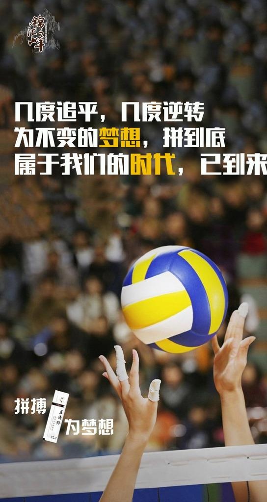 排球体育海报图片