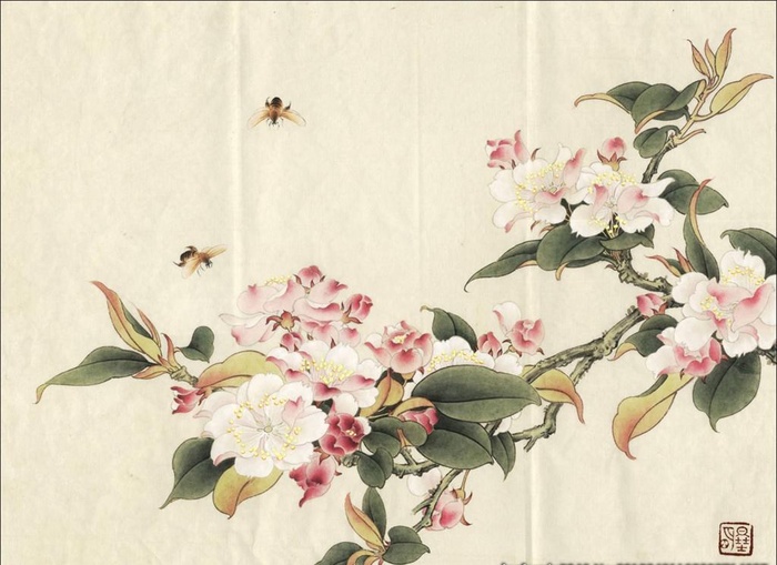 中国风海棠花工笔画图片