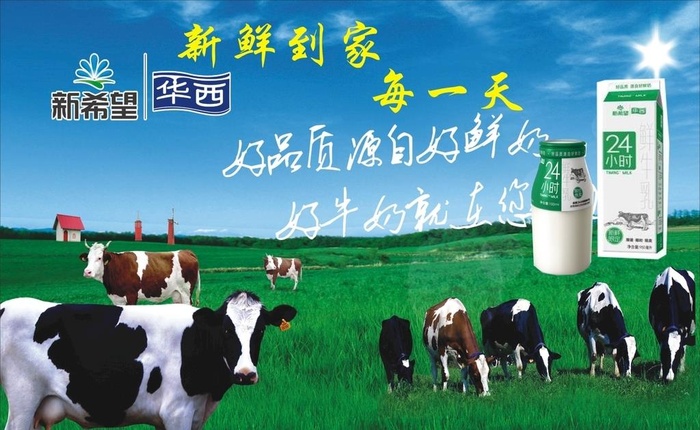 新希望华西牛奶海报图片cdr矢量模版下载
