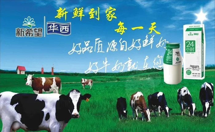 新希望华西牛奶海报图片cdr矢量模版下载