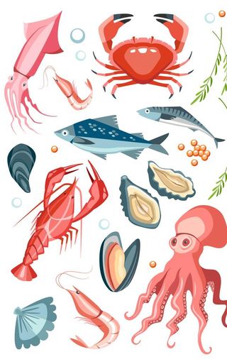 海鲜水产食物图片