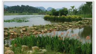 肇庆七星岩图片