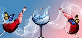 酒杯蝴蝶三联无框画图片