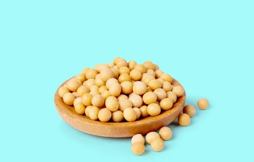 黄豆图片 黄豆图片