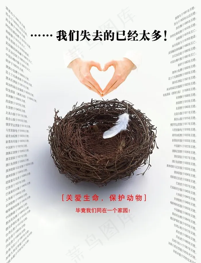 保护动物公益海报图片(2551x3437)psd模版下载