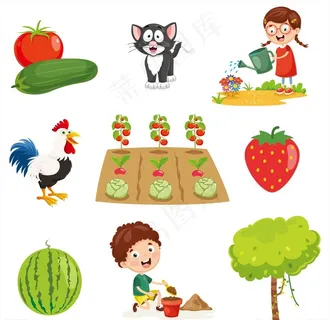 蔬菜园图片 蔬菜园图片