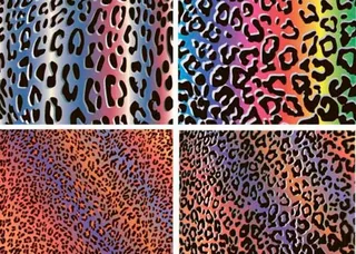 动物毛皮纹理背景图片