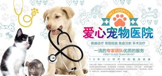 宠物海报 图片