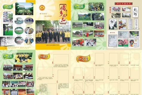 橘乡之花封面图片