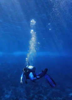潜水游泳海底漫步图片 潜水游泳海底漫步图片