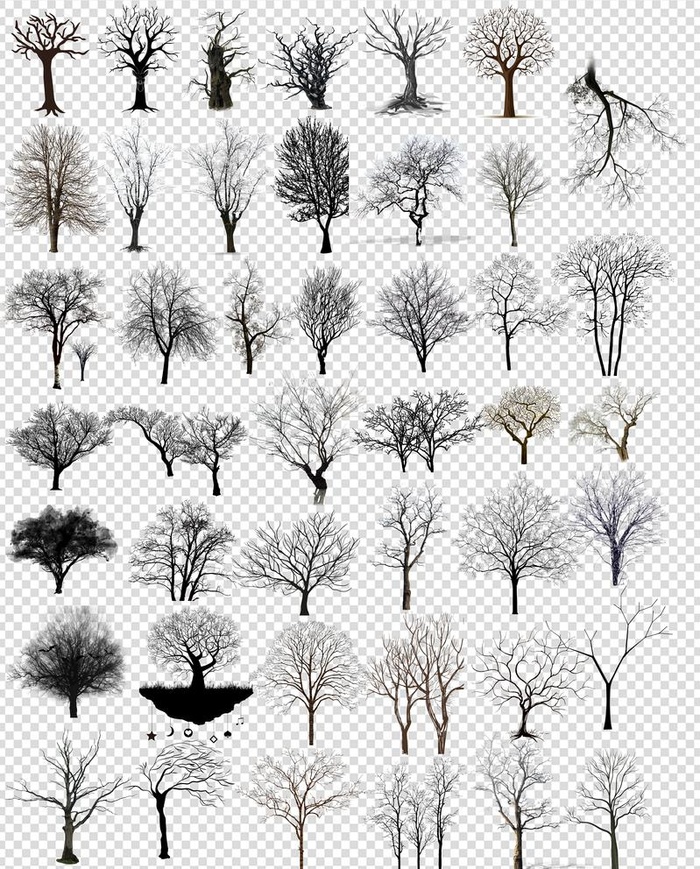 单色黑色树剪影大全图片(4128x5289)psd模版下载
