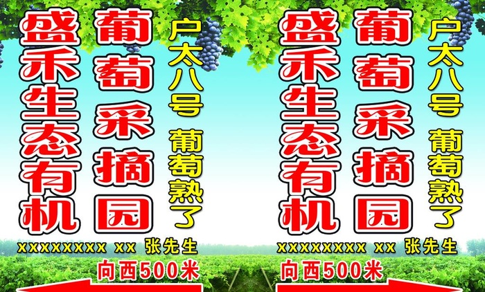 葡萄园图片(5811x3685)psd模版下载