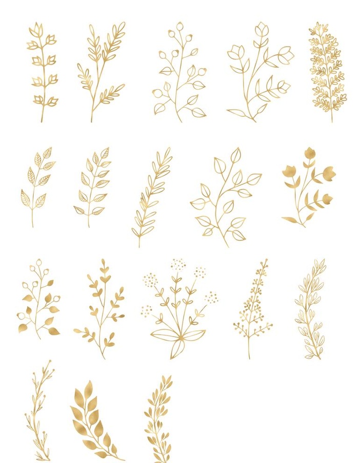 金色植物图案图片(1772x2362)psd模版下载