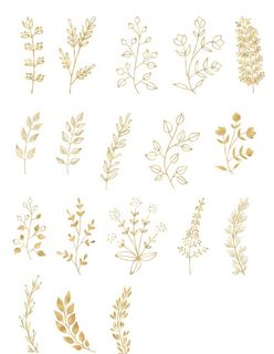 金色植物图案图片